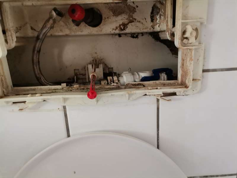 BAU.DE / BAU-Forum: 1. Bild zu Frage "Spülkasten ohne Herstellerangabe: Unbekannte Marke identifizieren & Baumarktqualität prüfen?" im BAU-Forum "Sanitär, Bad, Dusche, WC" BAU.DE / BAU-Forum: 1. Bild zu Frage "Spülkasten ohne Herstellerangabe: Unbekannte Marke identifizieren & Baumarktqualität prüfen?" im BAU-Forum "Sanitär, Bad, Dusche, WC"