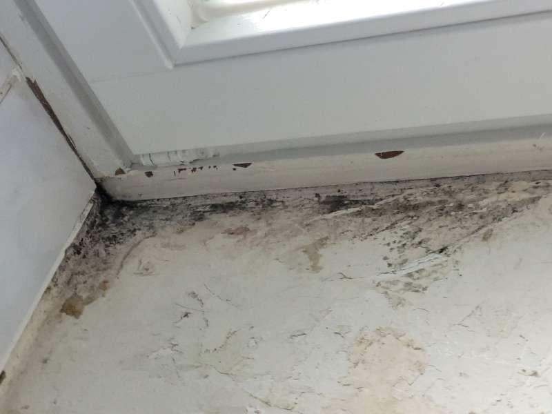 BAU.DE / BAU-Forum: 2. Bild zu Frage "Schimmel unter Fliesen" im Forum "Sanitär, Bad, Dusche, WC" BAU.DE / BAU-Forum: 2. Bild zu Frage "Schimmel unter Fliesen" im Forum "Sanitär, Bad, Dusche, WC"