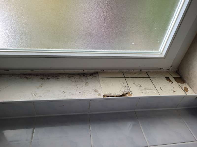 BAU.DE / BAU-Forum: 5. Bild zu Frage "Schimmel unter Fliesen" im Forum "Sanitär, Bad, Dusche, WC" BAU.DE / BAU-Forum: 5. Bild zu Frage "Schimmel unter Fliesen" im Forum "Sanitär, Bad, Dusche, WC"