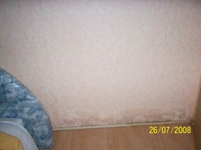 BAU.DE / BAU-Forum: 1. Bild zu Antwort "Update: Nasse Wand – Bilder & Infos zu Regen/Unwetterschäden" auf die Frage "Nasse Innenwand Ursache unklar: Was tun bei Feuchtigkeit, Schimmel & Wasserschaden?" im BAU-Forum "Modernisierung / Sanierung / Bauschäden" BAU.DE / BAU-Forum: 1. Bild zu Antwort "Update: Nasse Wand – Bilder & Infos zu Regen/Unwetterschäden" auf die Frage "Nasse Innenwand Ursache unklar: Was tun bei Feuchtigkeit, Schimmel & Wasserschaden?" im BAU-Forum "Modernisierung / Sanierung / Bauschäden"