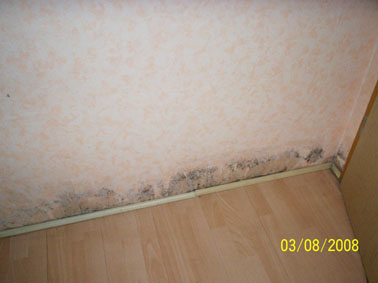 BAU.DE / BAU-Forum: 1. Bild zu Antwort "2. Bilder Schlafzimmer ..." auf die Frage "Nasse Innenwand Ursache unklar: Was tun bei Feuchtigkeit, Schimmel & Wasserschaden?" im BAU-Forum "Modernisierung / Sanierung / Bauschäden" BAU.DE / BAU-Forum: 1. Bild zu Antwort "2. Bilder Schlafzimmer ..." auf die Frage "Nasse Innenwand Ursache unklar: Was tun bei Feuchtigkeit, Schimmel & Wasserschaden?" im BAU-Forum "Modernisierung / Sanierung / Bauschäden"