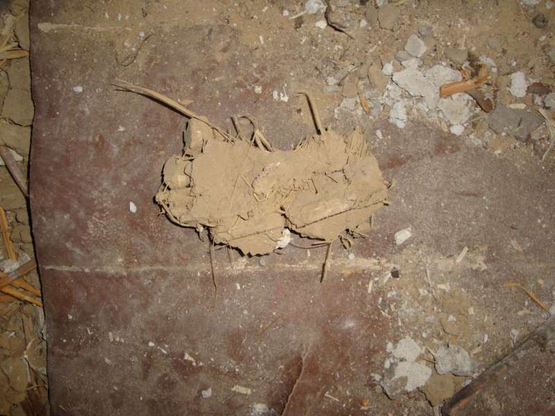 BAU.DE / BAU-Forum: 3. Bild zu Frage "Materialbestimmung: Was ist das für ein Baustoff? Analyse & Eigenschaften" im BAU-Forum "Modernisierung / Sanierung / Bauschäden" BAU.DE / BAU-Forum: 3. Bild zu Frage "Materialbestimmung: Was ist das für ein Baustoff? Analyse & Eigenschaften" im BAU-Forum "Modernisierung / Sanierung / Bauschäden"