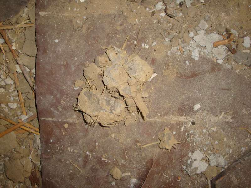 BAU.DE / BAU-Forum: 4. Bild zu Frage "Materialbestimmung: Was ist das für ein Baustoff? Analyse & Eigenschaften" im BAU-Forum "Modernisierung / Sanierung / Bauschäden" BAU.DE / BAU-Forum: 4. Bild zu Frage "Materialbestimmung: Was ist das für ein Baustoff? Analyse & Eigenschaften" im BAU-Forum "Modernisierung / Sanierung / Bauschäden"