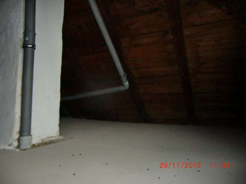 BAU.DE / BAU-Forum: 3. Bild zu Antwort "Holzbalkendecke: Aufbau & Schüttung im Altbau (1926)" auf die Frage "Schalldämmung im Altbau (1926): Lärmschutz verbessern – Maßnahmen, Kosten & Vergleich" im BAU-Forum "Modernisierung / Sanierung / Bauschäden" BAU.DE / BAU-Forum: 3. Bild zu Antwort "Holzbalkendecke: Aufbau & Schüttung im Altbau (1926)" auf die Frage "Schalldämmung im Altbau (1926): Lärmschutz verbessern – Maßnahmen, Kosten & Vergleich" im BAU-Forum "Modernisierung / Sanierung / Bauschäden"