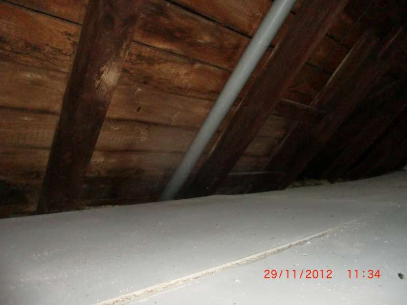 BAU.DE / BAU-Forum: 4. Bild zu Antwort "Holzbalkendecke: Aufbau & Schüttung im Altbau (1926)" auf die Frage "Schalldämmung im Altbau (1926): Lärmschutz verbessern – Maßnahmen, Kosten & Vergleich" im BAU-Forum "Modernisierung / Sanierung / Bauschäden" BAU.DE / BAU-Forum: 4. Bild zu Antwort "Holzbalkendecke: Aufbau & Schüttung im Altbau (1926)" auf die Frage "Schalldämmung im Altbau (1926): Lärmschutz verbessern – Maßnahmen, Kosten & Vergleich" im BAU-Forum "Modernisierung / Sanierung / Bauschäden"