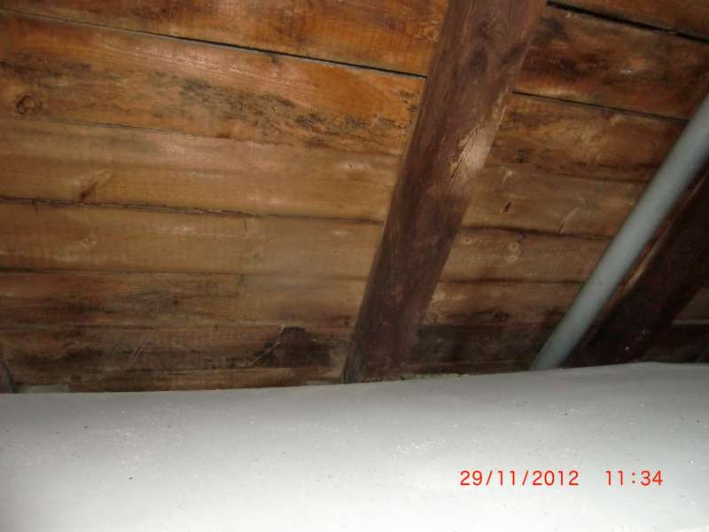 BAU.DE / BAU-Forum: 5. Bild zu Antwort "Holzbalkendecke: Aufbau & Schüttung im Altbau (1926)" auf die Frage "Schalldämmung im Altbau (1926): Lärmschutz verbessern – Maßnahmen, Kosten & Vergleich" im BAU-Forum "Modernisierung / Sanierung / Bauschäden" BAU.DE / BAU-Forum: 5. Bild zu Antwort "Holzbalkendecke: Aufbau & Schüttung im Altbau (1926)" auf die Frage "Schalldämmung im Altbau (1926): Lärmschutz verbessern – Maßnahmen, Kosten & Vergleich" im BAU-Forum "Modernisierung / Sanierung / Bauschäden"