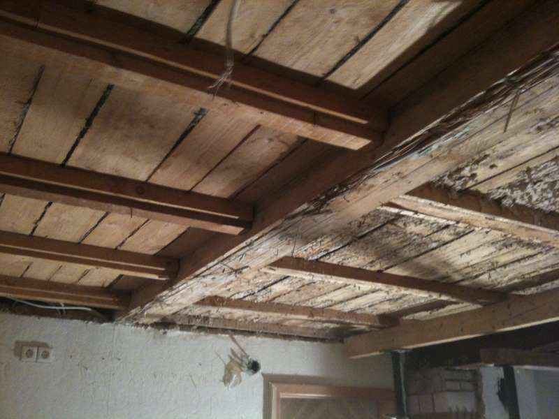 BAU.DE / BAU-Forum: 2. Bild zu Frage "Holz-Beton-Verbunddecke hängt durch: Ursachen, Risiken & Sanierungsmöglichkeiten?" im BAU-Forum "Modernisierung / Sanierung / Bauschäden" BAU.DE / BAU-Forum: 2. Bild zu Frage "Holz-Beton-Verbunddecke hängt durch: Ursachen, Risiken & Sanierungsmöglichkeiten?" im BAU-Forum "Modernisierung / Sanierung / Bauschäden"