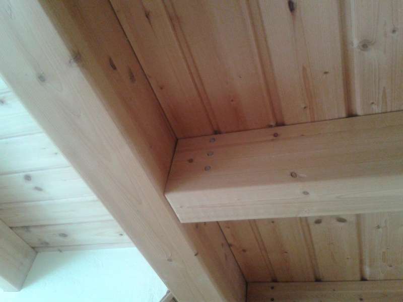 BAU.DE - Forum - Modernisierung / Sanierung / Bauschäden - 15172