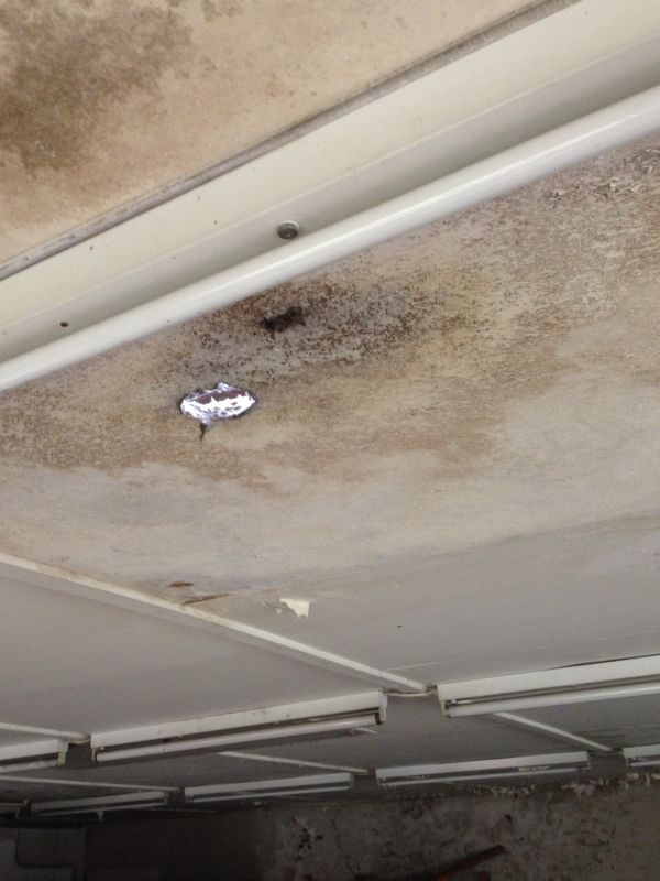 BAU.DE / BAU-Forum: 1. Bild zu Frage "Asbest in Lagerhalle erkennen? Experten-Rat zur Asbest-Prüfung vor dem Kauf" im BAU-Forum "Modernisierung / Sanierung / Bauschäden" BAU.DE / BAU-Forum: 1. Bild zu Frage "Asbest in Lagerhalle erkennen? Experten-Rat zur Asbest-Prüfung vor dem Kauf" im BAU-Forum "Modernisierung / Sanierung / Bauschäden"