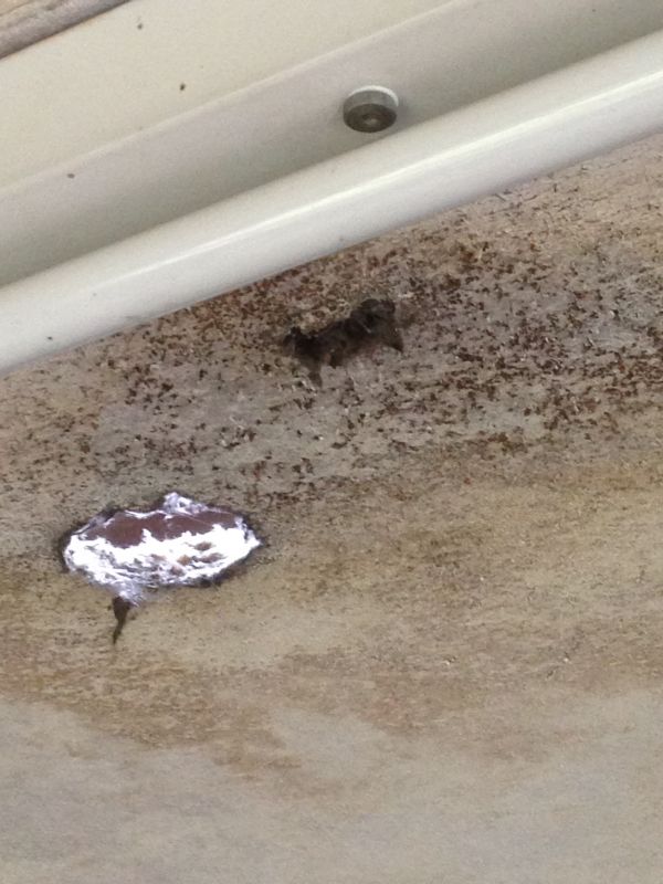 BAU.DE / BAU-Forum: 2. Bild zu Frage "Asbest in Lagerhalle erkennen? Experten-Rat zur Asbest-Prüfung vor dem Kauf" im BAU-Forum "Modernisierung / Sanierung / Bauschäden" BAU.DE / BAU-Forum: 2. Bild zu Frage "Asbest in Lagerhalle erkennen? Experten-Rat zur Asbest-Prüfung vor dem Kauf" im BAU-Forum "Modernisierung / Sanierung / Bauschäden"