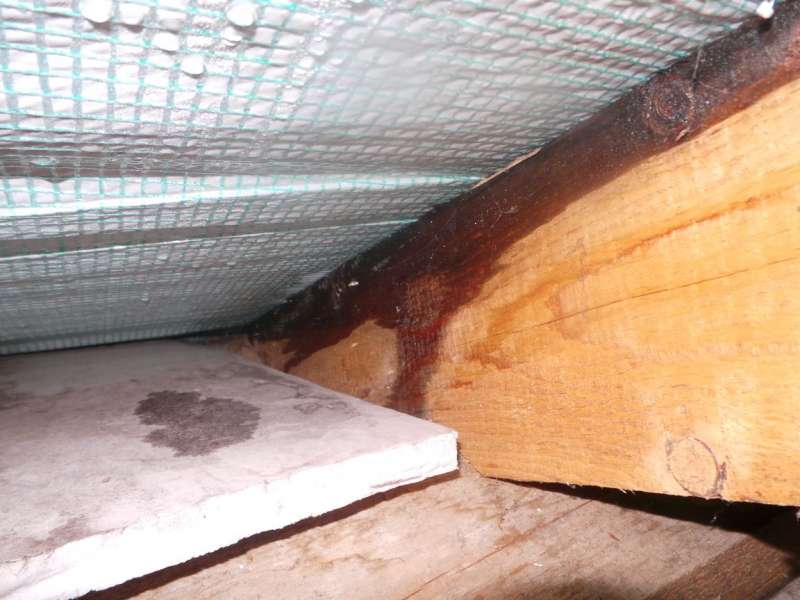 BAU.DE / BAU-Forum: 3. Bild zu Antwort "Details" auf die Frage "Feuchtigkeit im Dachboden: Ursachen, Sanierung der Dampfbremse & Kosten?" im BAU-Forum "Modernisierung / Sanierung / Bauschäden" BAU.DE / BAU-Forum: 3. Bild zu Antwort "Details" auf die Frage "Feuchtigkeit im Dachboden: Ursachen, Sanierung der Dampfbremse & Kosten?" im BAU-Forum "Modernisierung / Sanierung / Bauschäden"