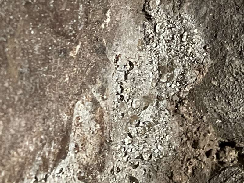 BAU.DE / BAU-Forum: 2. Bild zu Frage "Probleme bei Gewölbekellertrocknung" im BAU-Forum "Modernisierung / Sanierung / Bauschäden" BAU.DE / BAU-Forum: 2. Bild zu Frage "Probleme bei Gewölbekellertrocknung" im BAU-Forum "Modernisierung / Sanierung / Bauschäden"