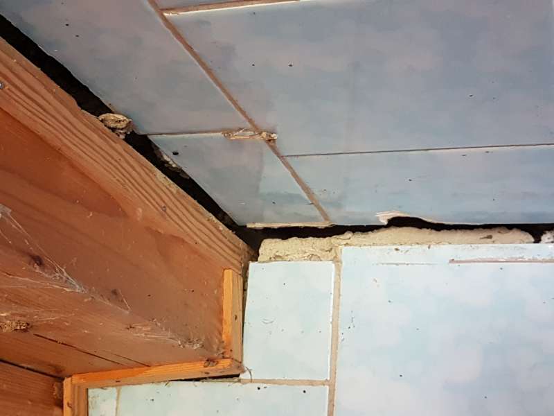 BAU.DE / BAU-Forum: 3. Bild zu Frage "Anbau setzt sich" im BAU-Forum "Modernisierung / Sanierung / Bauschäden" BAU.DE / BAU-Forum: 3. Bild zu Frage "Anbau setzt sich" im BAU-Forum "Modernisierung / Sanierung / Bauschäden"