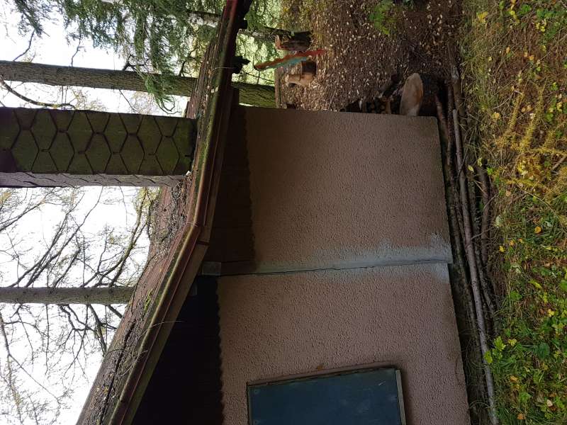 BAU.DE / BAU-Forum: 4. Bild zu Frage "Anbau setzt sich" im BAU-Forum "Modernisierung / Sanierung / Bauschäden" BAU.DE / BAU-Forum: 4. Bild zu Frage "Anbau setzt sich" im BAU-Forum "Modernisierung / Sanierung / Bauschäden"