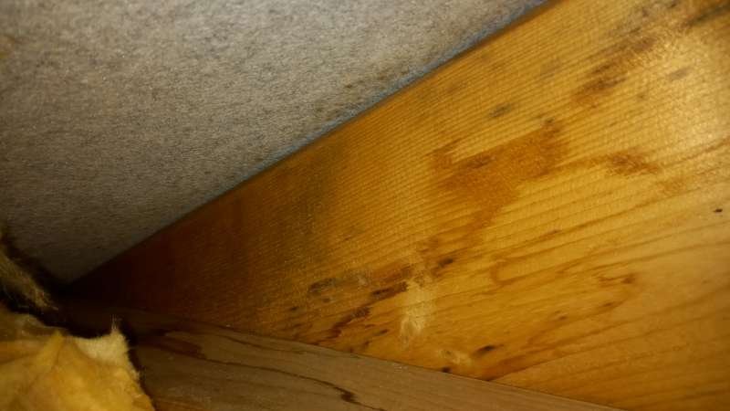 BAU.DE / BAU-Forum: 2. Bild zu Frage "Wasser an der USP. Trotz dämmund und Dampfbremse" im BAU-Forum "Modernisierung / Sanierung / Bauschäden" BAU.DE / BAU-Forum: 2. Bild zu Frage "Wasser an der USP. Trotz dämmund und Dampfbremse" im BAU-Forum "Modernisierung / Sanierung / Bauschäden"