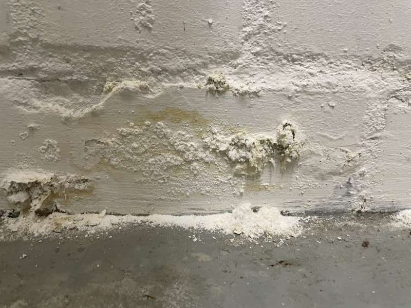 Bild zum BAU-Forumsbeitrag: Kellerboden feucht nach Wasserschaden im Forum Modernisierung / Sanierung / Bauschäden