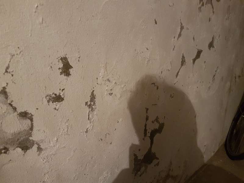 BAU.DE / BAU-Forum: 1. Bild zu Frage "Bruchsteinkeller verputzen / vormauern - mehrere Fragen dazu" im BAU-Forum "Modernisierung / Sanierung / Bauschäden" BAU.DE / BAU-Forum: 1. Bild zu Frage "Bruchsteinkeller verputzen / vormauern - mehrere Fragen dazu" im BAU-Forum "Modernisierung / Sanierung / Bauschäden"