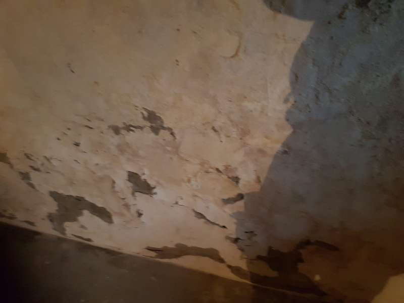 BAU.DE / BAU-Forum: 2. Bild zu Frage "Bruchsteinkeller verputzen / vormauern - mehrere Fragen dazu" im BAU-Forum "Modernisierung / Sanierung / Bauschäden" BAU.DE / BAU-Forum: 2. Bild zu Frage "Bruchsteinkeller verputzen / vormauern - mehrere Fragen dazu" im BAU-Forum "Modernisierung / Sanierung / Bauschäden"