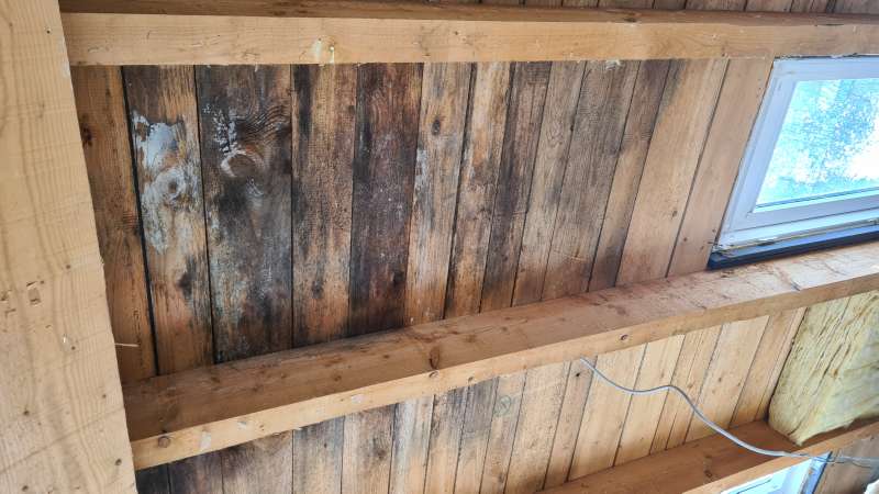 BAU.DE / BAU-Forum: 1. Bild zu Frage "Schimmelbildung aufgrund undichter Dampfbremse: Tipps, Mittel, Vorgehensweise?" im BAU-Forum "Modernisierung / Sanierung / Bauschäden" BAU.DE / BAU-Forum: 1. Bild zu Frage "Schimmelbildung aufgrund undichter Dampfbremse: Tipps, Mittel, Vorgehensweise?" im BAU-Forum "Modernisierung / Sanierung / Bauschäden"