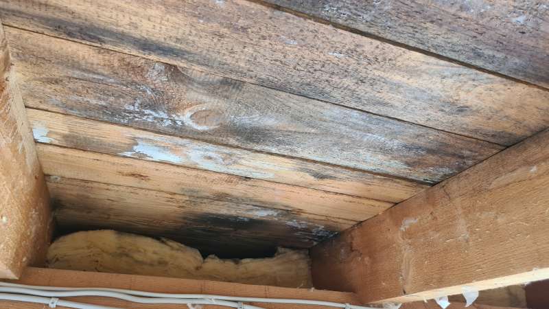 BAU.DE / BAU-Forum: 2. Bild zu Frage "Schimmelbildung aufgrund undichter Dampfbremse: Tipps, Mittel, Vorgehensweise?" im BAU-Forum "Modernisierung / Sanierung / Bauschäden" BAU.DE / BAU-Forum: 2. Bild zu Frage "Schimmelbildung aufgrund undichter Dampfbremse: Tipps, Mittel, Vorgehensweise?" im BAU-Forum "Modernisierung / Sanierung / Bauschäden"