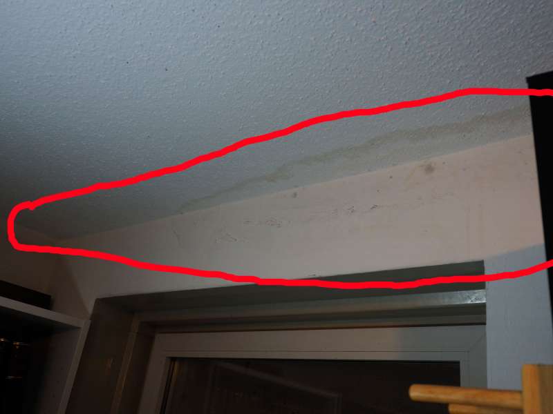 BAU.DE / BAU-Forum: 1. Bild zu Frage "Wasserschaden nach Schneekatastrophe" im BAU-Forum "Modernisierung / Sanierung / Bauschäden" BAU.DE / BAU-Forum: 1. Bild zu Frage "Wasserschaden nach Schneekatastrophe" im BAU-Forum "Modernisierung / Sanierung / Bauschäden"