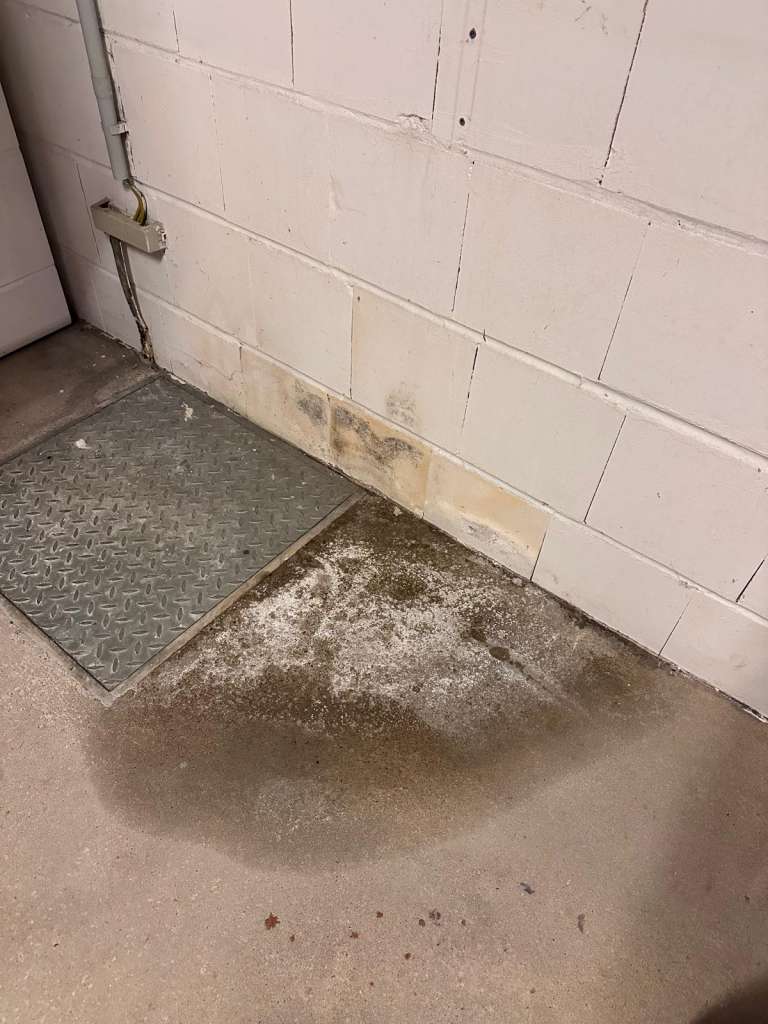 BAU.DE / BAU-Forum: 2. Bild zu Frage "Wasserschaden!! Feuchtigkeit und Schimmel im Keller woher???" im BAU-Forum "Modernisierung / Sanierung / Bauschäden" BAU.DE / BAU-Forum: 2. Bild zu Frage "Wasserschaden!! Feuchtigkeit und Schimmel im Keller woher???" im BAU-Forum "Modernisierung / Sanierung / Bauschäden"