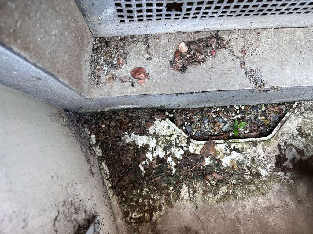 BAU.DE / BAU-Forum: 4. Bild zu Frage "Wasserschaden!! Feuchtigkeit und Schimmel im Keller woher???" im BAU-Forum "Modernisierung / Sanierung / Bauschäden" BAU.DE / BAU-Forum: 4. Bild zu Frage "Wasserschaden!! Feuchtigkeit und Schimmel im Keller woher???" im BAU-Forum "Modernisierung / Sanierung / Bauschäden"