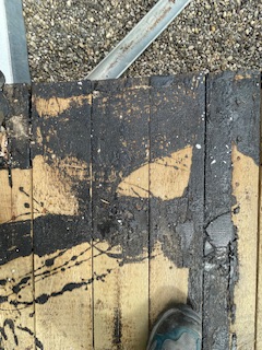 BAU.DE / BAU-Forum: 2. Bild zu Antwort "Kein „selbstkompostierendes Flachdach“" auf die Frage "Aufbau Balkon" im BAU-Forum "Modernisierung / Sanierung / Bauschäden" BAU.DE / BAU-Forum: 2. Bild zu Antwort "Kein „selbstkompostierendes Flachdach“" auf die Frage "Aufbau Balkon" im BAU-Forum "Modernisierung / Sanierung / Bauschäden"