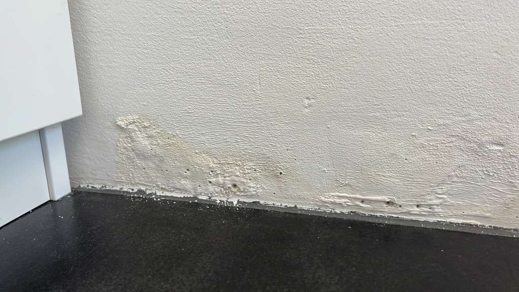 BAU.DE / BAU-Forum: 1. Bild zu Frage "Wassereintragung an 1. Steinreihe in mehrern Zimmern - Leckageorter überfragt :-/" im BAU-Forum "Modernisierung / Sanierung / Bauschäden" BAU.DE / BAU-Forum: 1. Bild zu Frage "Wassereintragung an 1. Steinreihe in mehrern Zimmern - Leckageorter überfragt :-/" im BAU-Forum "Modernisierung / Sanierung / Bauschäden"