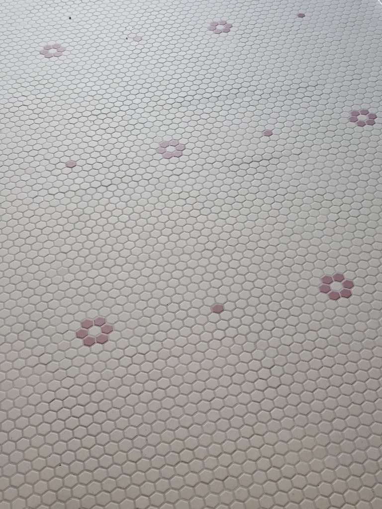 BAU.DE / BAU-Forum: 3. Bild zu Antwort "nasse Mosaikfliesen - Fugen auskratzen - Farbvertiefer" auf die Frage "weißlicher Schleier auf Fliesen nach dem Verfugen" im BAU-Forum "Modernisierung / Sanierung / Bauschäden" BAU.DE / BAU-Forum: 3. Bild zu Antwort "nasse Mosaikfliesen - Fugen auskratzen - Farbvertiefer" auf die Frage "weißlicher Schleier auf Fliesen nach dem Verfugen" im BAU-Forum "Modernisierung / Sanierung / Bauschäden"