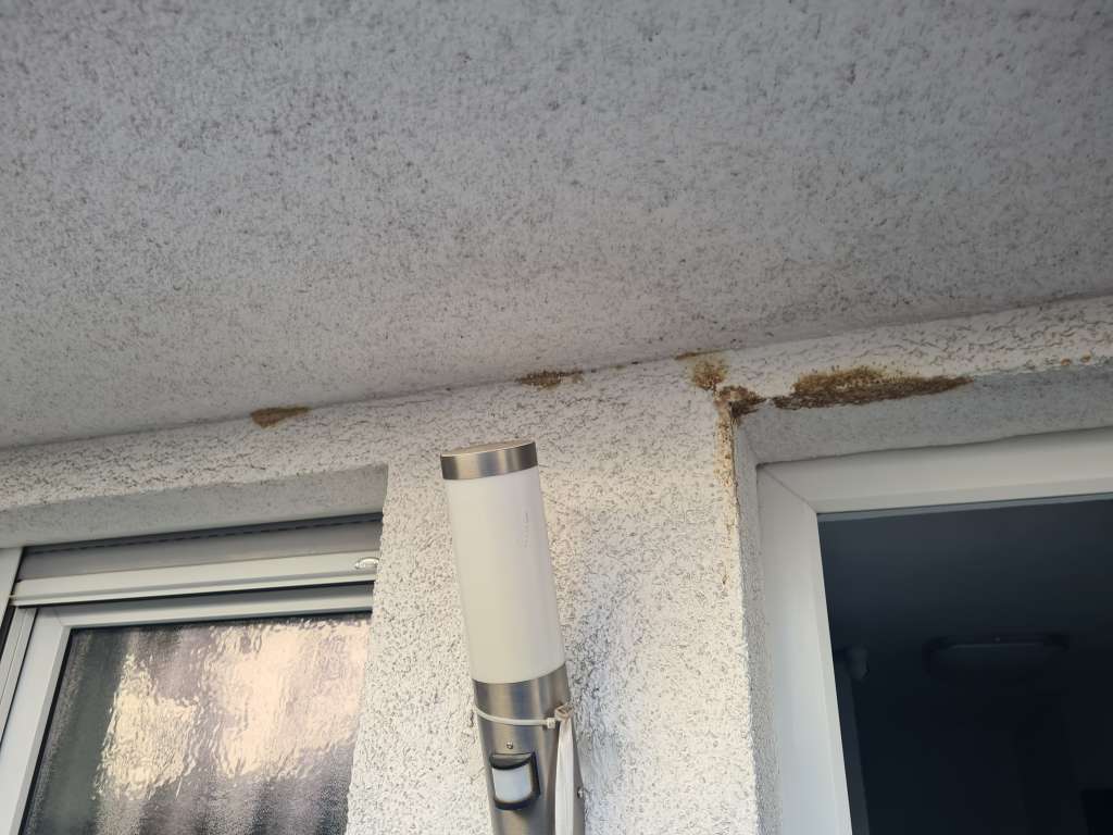 BAU.DE / BAU-Forum: 1. Bild zu Frage "Braunfärbung am Außenputz im Eingangsbereich - Ursachen und Lösungen" im BAU-Forum "Modernisierung / Sanierung / Bauschäden" BAU.DE / BAU-Forum: 1. Bild zu Frage "Braunfärbung am Außenputz im Eingangsbereich - Ursachen und Lösungen" im BAU-Forum "Modernisierung / Sanierung / Bauschäden"