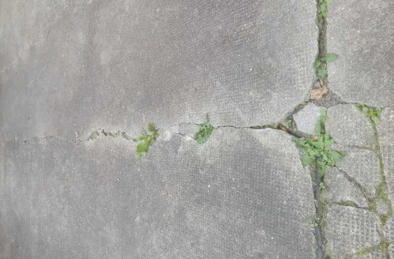 BAU.DE / BAU-Forum: 3. Bild zu Frage "Betonboden Hof: Risse & Spalten reparieren – Ursachen, Materialien & Anleitung?" im BAU-Forum "Tiefbau und Spezialtiefbau" BAU.DE / BAU-Forum: 3. Bild zu Frage "Betonboden Hof: Risse & Spalten reparieren – Ursachen, Materialien & Anleitung?" im BAU-Forum "Tiefbau und Spezialtiefbau"