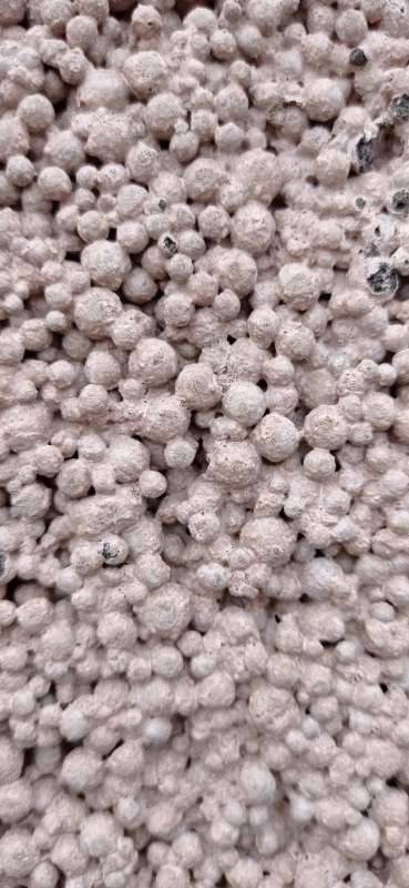 BAU.DE / BAU-Forum: 2. Bild zu Antwort "Blähton Massivfertighaus: Bömmel Bau / RAUMBUILD" auf die Frage "Blähtonhaus schlüsselfertig bauen: Anbieter in Berlin-Brandenburg finden?" im BAU-Forum "Wer hat Erfahrung mit" BAU.DE / BAU-Forum: 2. Bild zu Antwort "Blähton Massivfertighaus: Bömmel Bau / RAUMBUILD" auf die Frage "Blähtonhaus schlüsselfertig bauen: Anbieter in Berlin-Brandenburg finden?" im BAU-Forum "Wer hat Erfahrung mit"