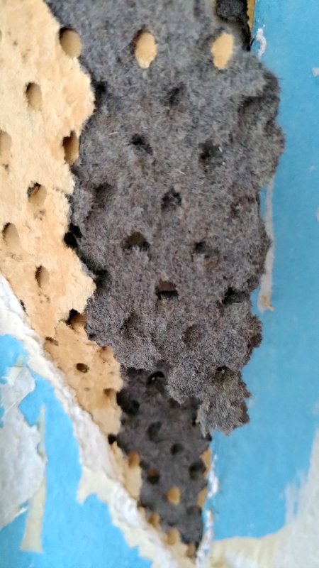 BAU.DE / BAU-Forum: 1. Bild zu Frage "Dunkelgraues Material an Wand im Altbau: Was ist das? Analyse & Gefahren" im BAU-Forum "Wer hat Erfahrung mit" BAU.DE / BAU-Forum: 1. Bild zu Frage "Dunkelgraues Material an Wand im Altbau: Was ist das? Analyse & Gefahren" im BAU-Forum "Wer hat Erfahrung mit"