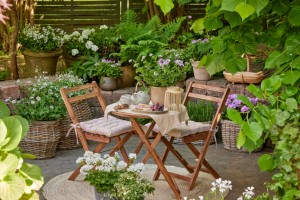 Warum die STIHL KGA 770 die perfekte Wahl für Profis und Gartenfreunde ist - Bild: Charlotte Cowell / Unsplash Warum die STIHL KGA 770 die perfekte Wahl für Profis und Gartenfreunde ist - Bild: Charlotte Cowell / Unsplash