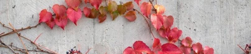 Effektive Techniken zur Betonformgebung - so geht′s Effektive Techniken zur Betonformgebung - so geht′s