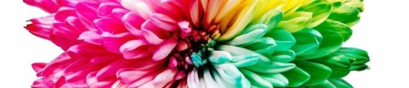 Vliestapete streichen: Das gilt es zu beachten Vliestapete streichen: Das gilt es zu beachten