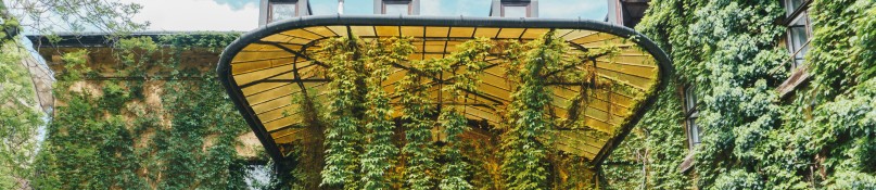 Grüne Fassaden gestalten: Verwandeln Sie Ihre Hauswand in eine blühende Oase Grüne Fassaden gestalten: Verwandeln Sie Ihre Hauswand in eine blühende Oase