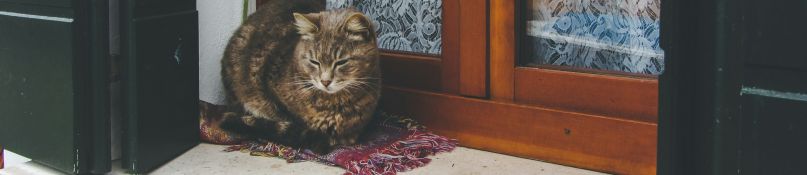 Fensterbänke konfigurieren - Das sind die wichtigsten Punkte Fensterbänke konfigurieren - Das sind die wichtigsten Punkte