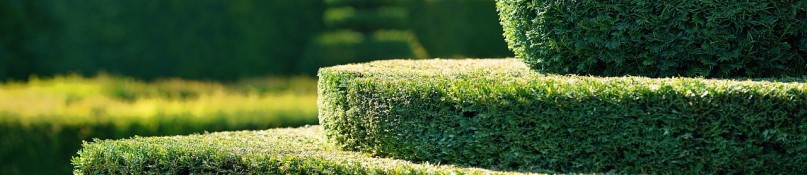 Heckenpflege leicht gemacht - so setzen Sie den Außenbereich in Szene Heckenpflege leicht gemacht - so setzen Sie den Außenbereich in Szene