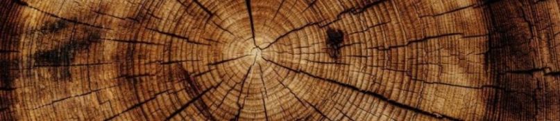 Massivholztisch: Darauf musst Du achten beim Kauf Deines neuen Tisches! Massivholztisch: Darauf musst Du achten beim Kauf Deines neuen Tisches!