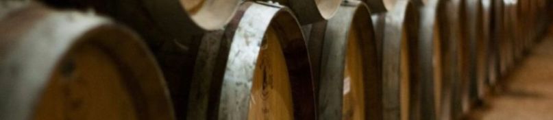 Nachhaltiger Kellerbau: Ein Leitfaden für die Zukunft des Wohnens Nachhaltiger Kellerbau: Ein Leitfaden für die Zukunft des Wohnens