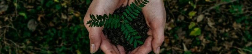 Trockenausbau mit Gipskartonplatten: Kein Problem für Heimwerker Trockenausbau mit Gipskartonplatten: Kein Problem für Heimwerker