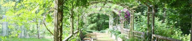 Die perfekte Pergola für Balkon und Terrasse: Platzsparende Ideen für kleine Außenbereiche Die perfekte Pergola für Balkon und Terrasse: Platzsparende Ideen für kleine Außenbereiche