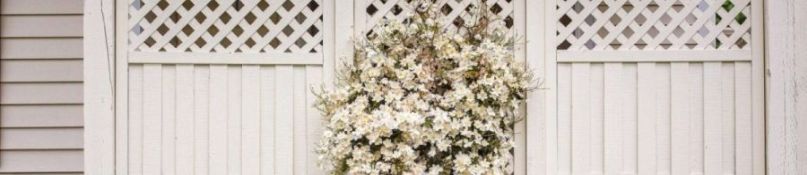 DIY-Sichtschutz aus Doppelstegplatten: So erreicht man ein stilvolles Resultat DIY-Sichtschutz aus Doppelstegplatten: So erreicht man ein stilvolles Resultat