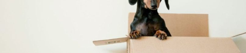 Checkliste: Wie richtig siedeln? Checkliste: Wie richtig siedeln?