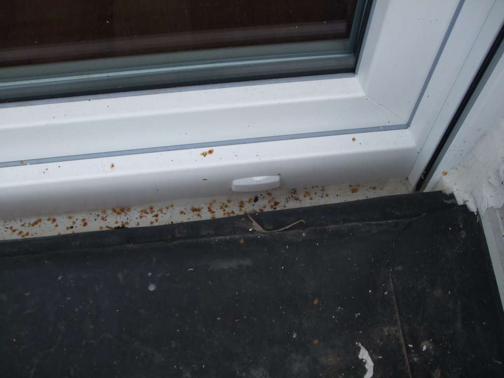 BAU-Forumsbeitrag: Wassereintritt durch Terrassentür: Lösungen für Höhenunterschied zwischen Terrasse und Wohnzimmer? BAU-Forumsbeitrag: Wassereintritt durch Terrassentür: Lösungen für Höhenunterschied zwischen Terrasse und Wohnzimmer?