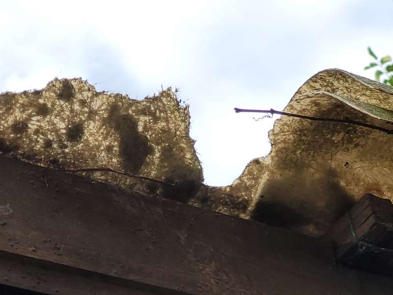 BAU.DE / BAU-Forum: 1. Bild zu Frage "Dachmaterial bestimmen: Mögliche Gefahren für Kinderzimmer? Analyse & Risikobewertung" im BAU-Forum "Baustoffe" BAU.DE / BAU-Forum: 1. Bild zu Frage "Dachmaterial bestimmen: Mögliche Gefahren für Kinderzimmer? Analyse & Risikobewertung" im BAU-Forum "Baustoffe"