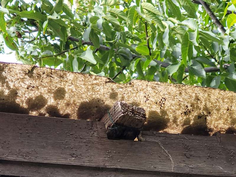 BAU.DE / BAU-Forum: 2. Bild zu Frage "Dachmaterial bestimmen: Mögliche Gefahren für Kinderzimmer? Analyse & Risikobewertung" im BAU-Forum "Baustoffe" BAU.DE / BAU-Forum: 2. Bild zu Frage "Dachmaterial bestimmen: Mögliche Gefahren für Kinderzimmer? Analyse & Risikobewertung" im BAU-Forum "Baustoffe"