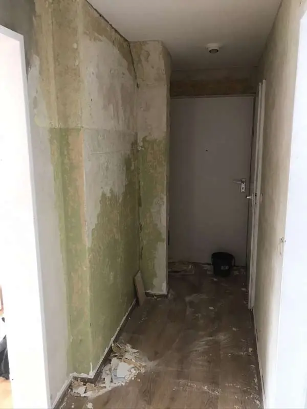 BAU.DE / BAU-Forum: 1. Bild zu Frage "Unbekannter Putz - kennt jemanden das Material?" im BAU-Forum "Innenwände" BAU.DE / BAU-Forum: 1. Bild zu Frage "Unbekannter Putz - kennt jemanden das Material?" im BAU-Forum "Innenwände"